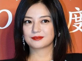 被曝和新欢产子1个月杨子再传噩耗 原来他和赵薇是一类人