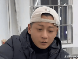 600万粉丝网红塌房视频前大夸国内好私下偷偷办理移民手续